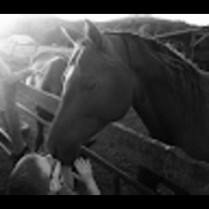 Meet your Posher, Jason and andrea